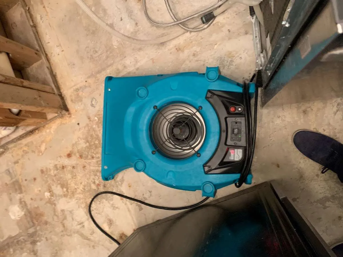 Air mover drying equipment for Mold Remediation & Removal in McAllen
